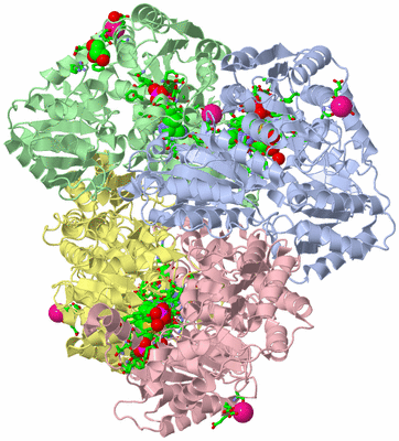 Image Asym./Biol. Unit - sites