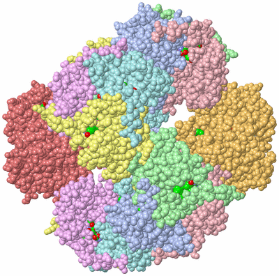 Image Biol. Unit 1 - sites