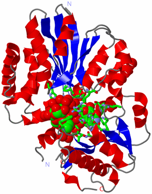 Image Asym./Biol. Unit - sites