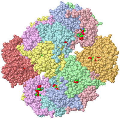 Image Biological Unit 1