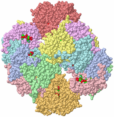 Image Biological Unit 1