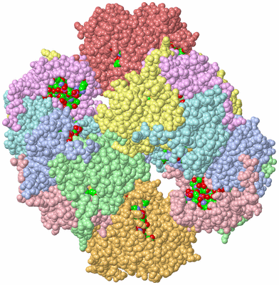 Image Biol. Unit 1 - sites