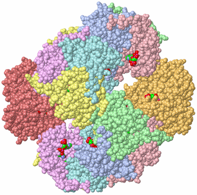 Image Biological Unit 1