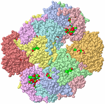 Image Biol. Unit 1 - sites