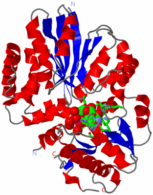 Image Asym./Biol. Unit - sites