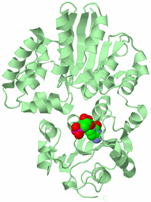 Image Biological Unit 2