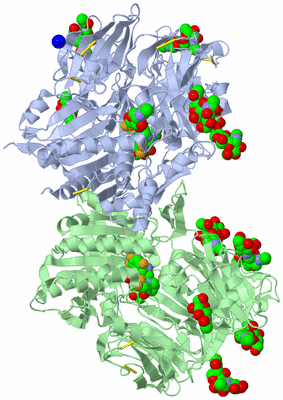 Image Asym./Biol. Unit