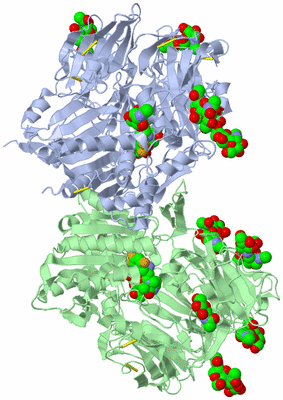 Image Asym./Biol. Unit