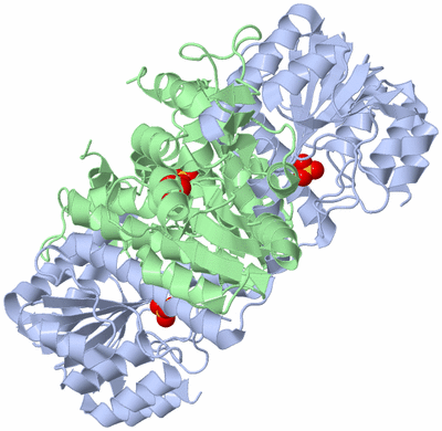 Image Biological Unit 1