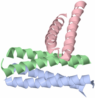 Image Asymmetric Unit