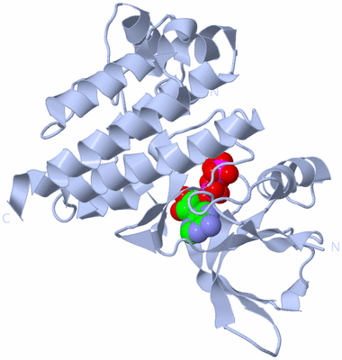 Image Biological Unit 1