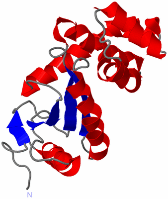 Image NMR Structure - model 1