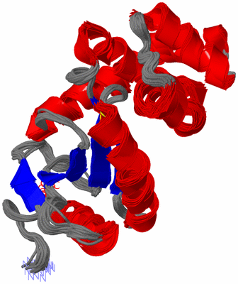 Image NMR Structure - all models