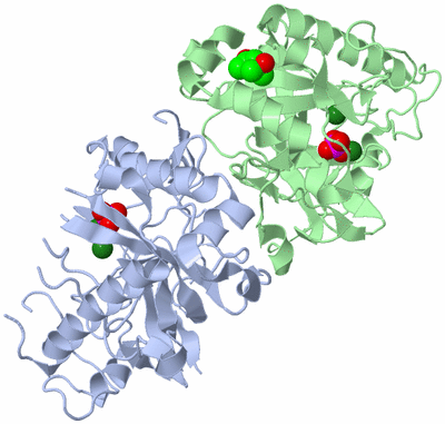 Image Asym./Biol. Unit