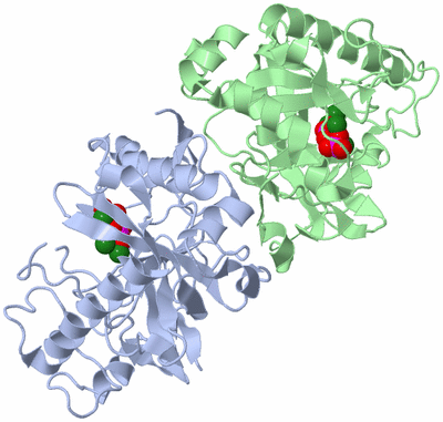 Image Biological Unit 1