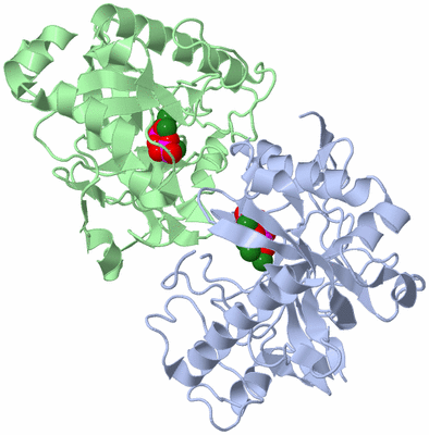 Image Biological Unit 2