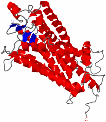 Image Theoretical Model