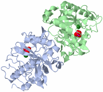 Image Asym./Biol. Unit