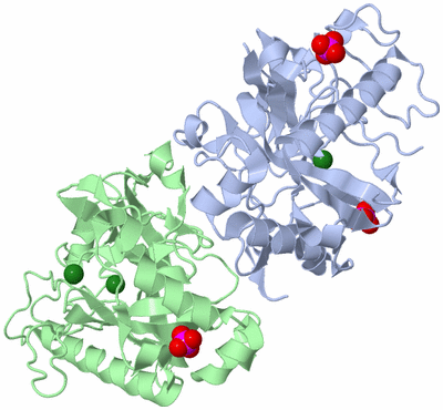 Image Asym./Biol. Unit