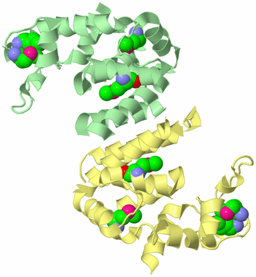 Image Biological Unit 2