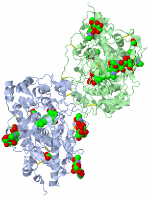 Image Asym./Biol. Unit