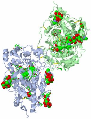 Image Asym./Biol. Unit - sites