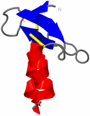 Image NMR Structure - model 1