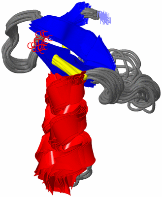 Image NMR Structure - all models