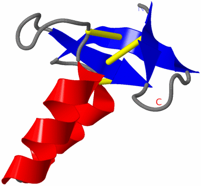 Image NMR Structure - model 1