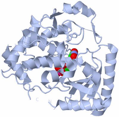 Image Biological Unit 1