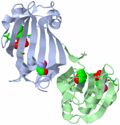 Image Asym./Biol. Unit - sites