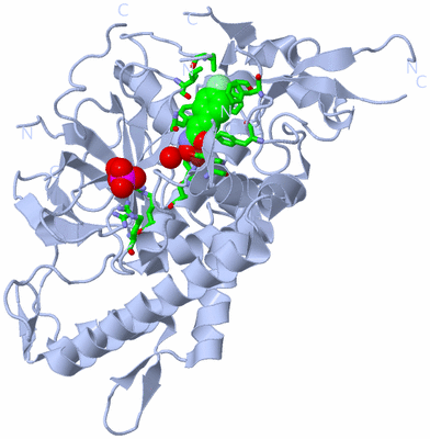 Image Biol. Unit 1 - sites