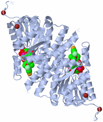 Image Biological Unit 1