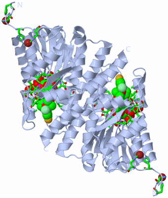 Image Biol. Unit 1 - sites