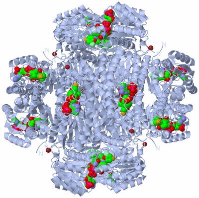 Image Biological Unit 2