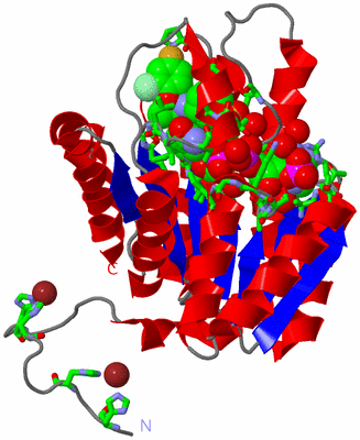 Image Asym. Unit - sites