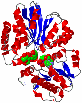 Image Asym./Biol. Unit