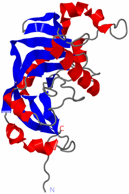 Image NMR Structure - model 1