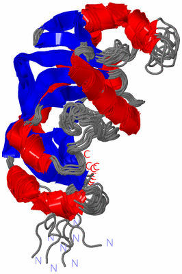 Image NMR Structure - all models