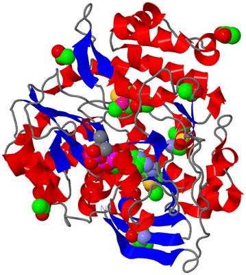 Image Asym./Biol. Unit