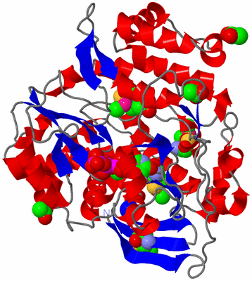 Image Asym./Biol. Unit