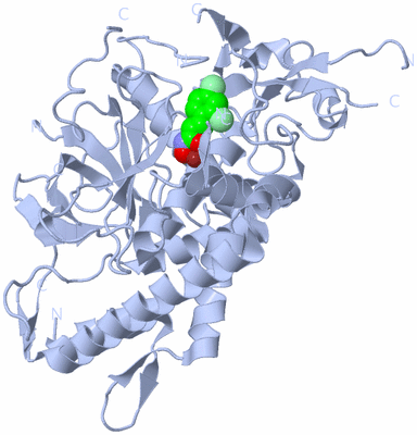 Image Biological Unit 1