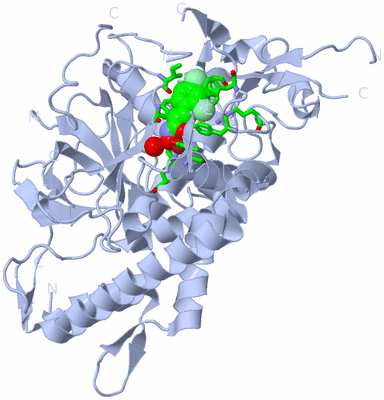 Image Biol. Unit 1 - sites