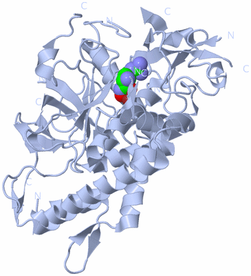 Image Biological Unit 1