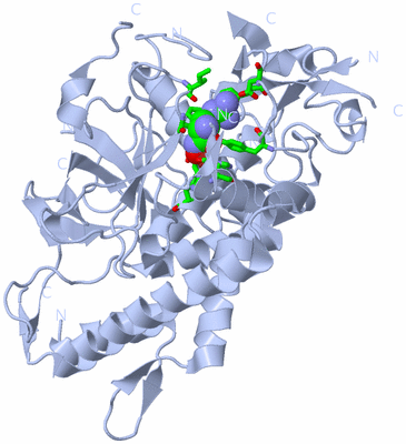 Image Biol. Unit 1 - sites