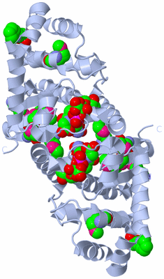 Image Biological Unit 1