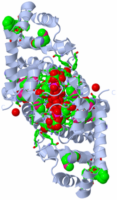 Image Biol. Unit 1 - sites