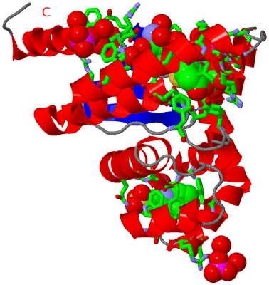 Image Asym. Unit - sites