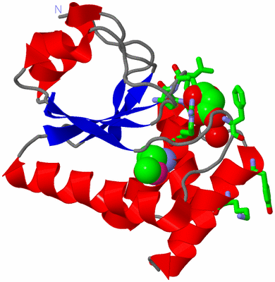 Image Asym./Biol. Unit - sites