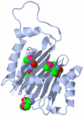 Image Biological Unit 1